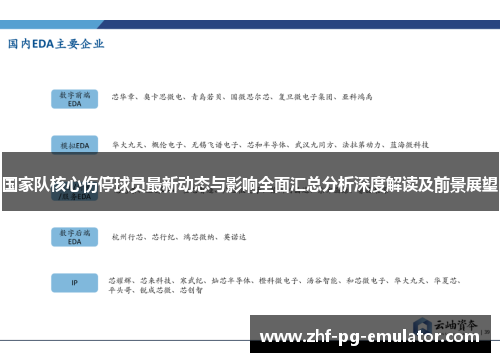 国家队核心伤停球员最新动态与影响全面汇总分析深度解读及前景展望